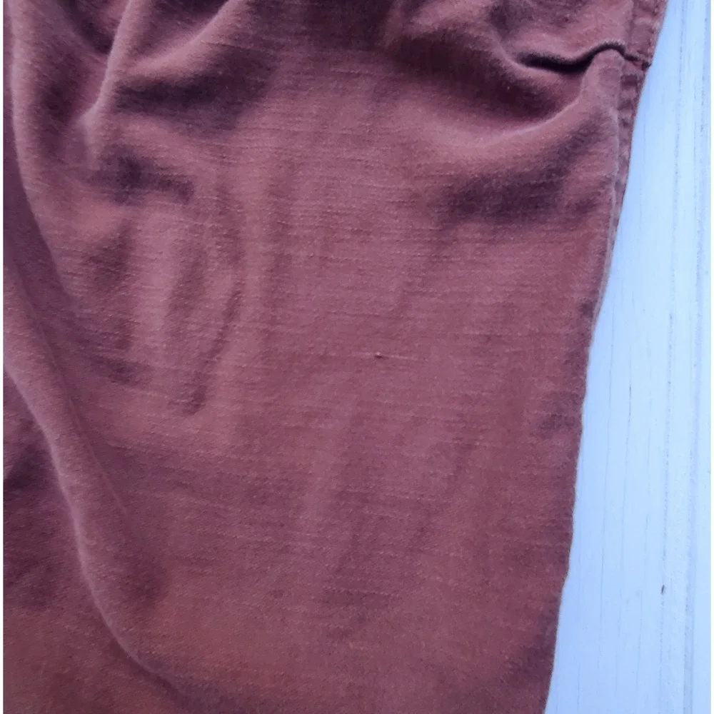 REI Co-op Wallace Lake Jogger Pants Rust Brown Utility Hiking Womens 12 - Picture 12 of 12